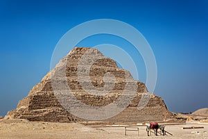 Pyramid of Djoser and Donkey