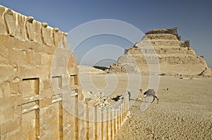 Pyramid of Djoser and Temple Wall with Cobras in Saqqara photo