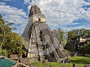 Pyramid of the Jaguar in the national most important Mayan city of Tikal Park, Guatemala