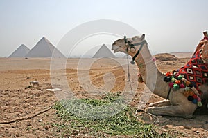 Pyramid at Lunch Break