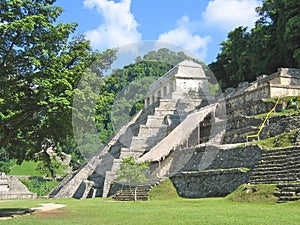 Pyramid maya in the jungle