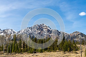 Pyramid Mountain. Jasper National Park landscape. Canadian Rockies