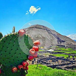 pyramid of the sun in teotihuacan mexico with nopales and tunas