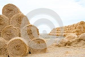 Pyramid of tightly twisted stacks of golden hay at the end of summer with place for copy space. Agriculture concept