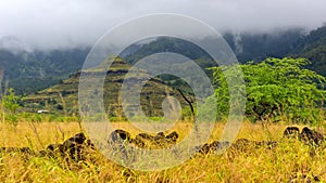 Pyramid at Waianae Valley