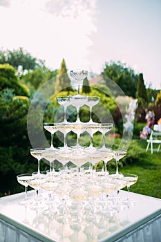 Pyramid of wine glasses with champagne is on table at wedding banquet in garden