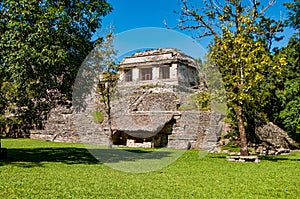 Pyramids and ancient buildings in archaeological site of Palenque, Mexico