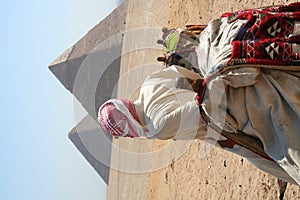 The pyramids in gaza photo