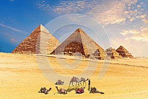 Pyramids of Giza in the desert of Egypt and amel caravan resting nearby