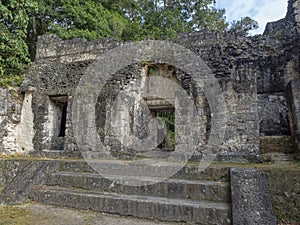 Pyramids in Nation`s most significant Mayan city of Tikal Park, Guatemala