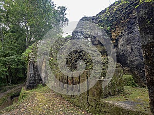 Pyramids in Nation`s most significant Mayan city of Tikal Park, Guatemala