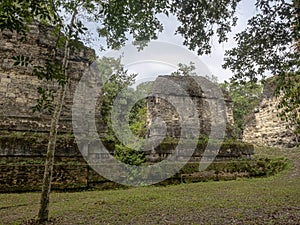 Pyramids in Nation`s most significant Mayan city of Tikal Park, Guatemala