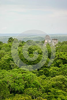 Pyramids Tikal Guatemala