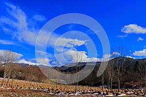 Pyrenean countryside in Aude, France