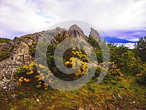 Pyrenean rock with broom under clouds