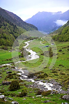 Pyrenean stream