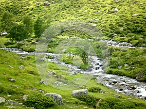 Pyrenean watercourse, stones and light photo