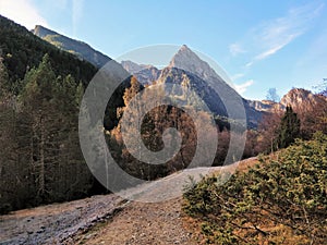 Forest track and the mountain sight in the back photo