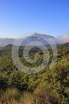 Pyrenees mountain peak landscape on a solid blue sky and green forest trees