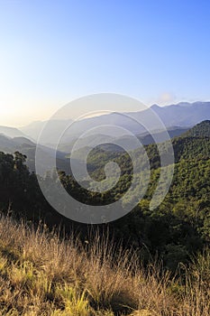 Pyrenees mountain peak landscape on a solid blue sky and green forest trees