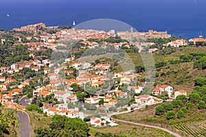 Pyrenees Orientales Vermilion coast landscape, vineyards fields with the village of Collioure