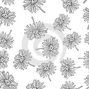 Pyrethrum daisy seamless pattern on white background