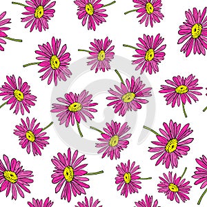 Pyrethrum daisy seamless pattern on white background