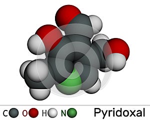 Pyridoxal molecule. It is form of vitamin B6. Molecular model. 3D rendering