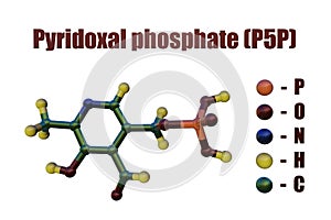 Pyridoxal phosphate, the active form of vitamin b6. Structural chemical formula and molecular model. 3d illustration