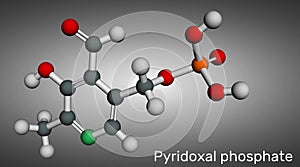Pyridoxal phosphate, PLP molecule. It is active form of vitamin B6 and coenzyme. Molecular model. 3D rendering