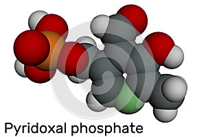 Pyridoxal phosphate, PLP molecule. It is active form of vitamin B6 and coenzyme. Molecular model. 3D rendering