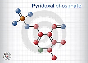 Pyridoxal phosphate, PLP molecule. It is active form of vitamin B6 and coenzyme. Molecule model, sheet of paper in a cage. Vector