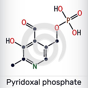 Pyridoxal phosphate, PLP molecule. It is active form of vitamin B6 and coenzyme. Skeletal chemical formula. Vector