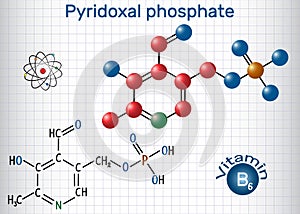 Pyridoxal phosphate PLP, pyridoxal 5`-phosphate, P5P, vitamin
