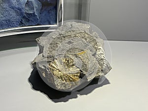 Pyrite from the Alpstein mountain or Pyrit aus dem Alpstein Massiv minerals and crystals in the exhibition Mount SÃ¤ntis