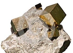 Pyrite cubes embedded in a matrix on white background