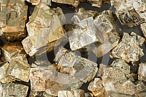 Pyrite from the musschelkalk quarries of Winterswijk in Netherlands