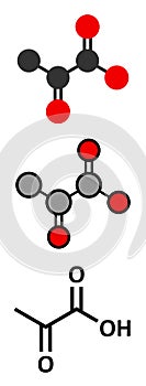 Pyruvic acid (pyruvate) molecule. Important intermediate in a number of biochemical processes