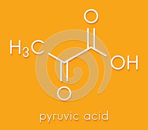 Pyruvic acid pyruvate molecule. Important intermediate in a number of biochemical processes. Skeletal formula.