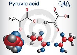 Pyruvic acid pyruvate molecule. It is the simplest of the alph