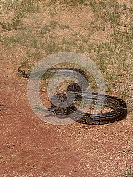 Python photo
