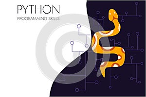 Python code language sign. Programming coding and developing concept.