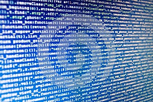 Python programming developer code. Young business crew working with startup.