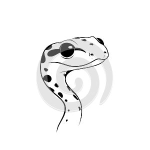 Python. Python simple black and white line art vector logo