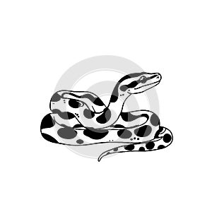 Python. Python simple black and white line art vector logo