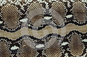 Python skin  texture, snake skin pattern
