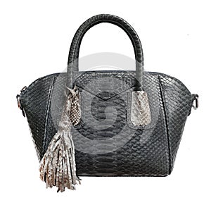 Python snake skin gray bag isolated on white background. exotic snakeskin purse