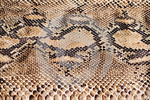 Python snake skin pattern