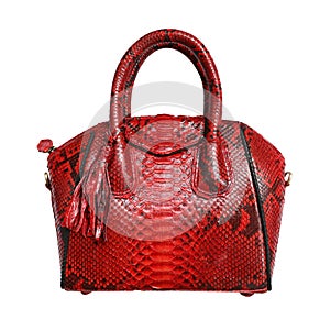 Python snake skin red bag isolated on white background. exotic snakeskin purse