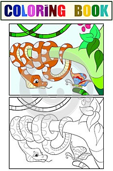 Pythonidae, snake resting on a tree. Set of coloring book and color sketch for example.
